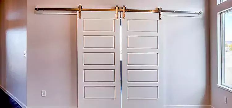 Glass Barn Door with Installation Hardware Kit South San Francisco
