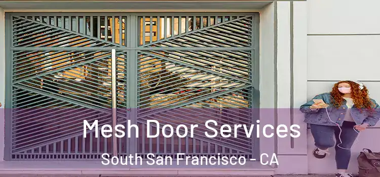 Mesh Door Services South San Francisco - CA